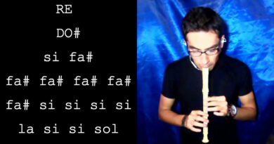 Despacito, Luis Fonsi, en Flauta