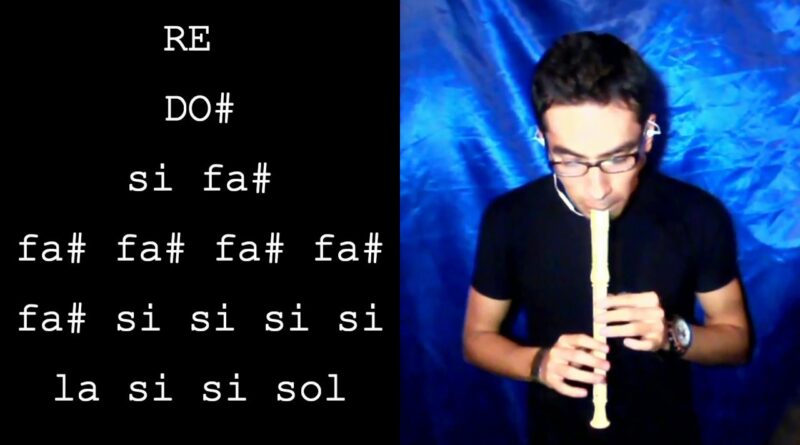 Despacito, Luis Fonsi, en Flauta