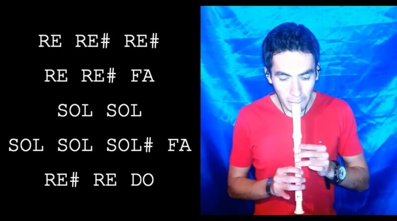 La Concheperla Flauta Dulce